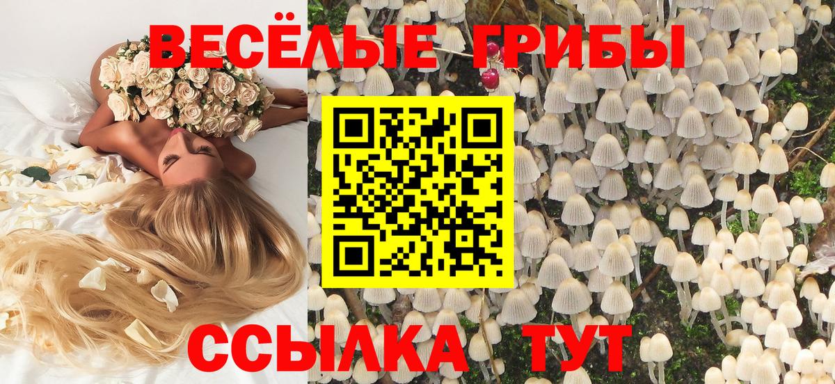 Псилоцибиновые грибы GOLDEN TEACHER  Вход с VPN  закладки  Острогожск 